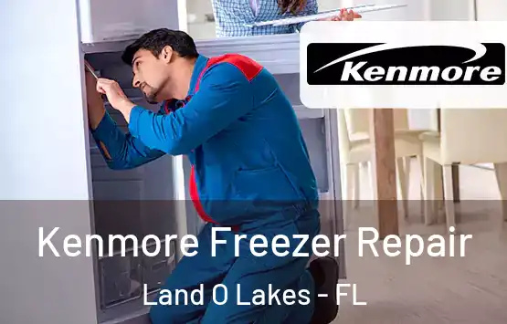  Kenmore Freezer Repair Land O Lakes - FL
