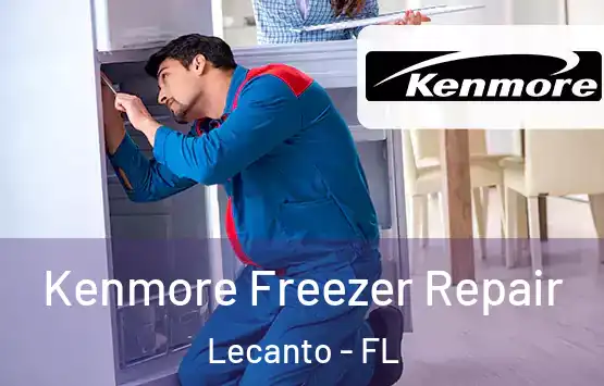  Kenmore Freezer Repair Lecanto - FL