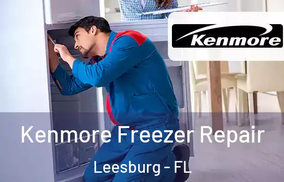  Kenmore Freezer Repair Leesburg - FL
