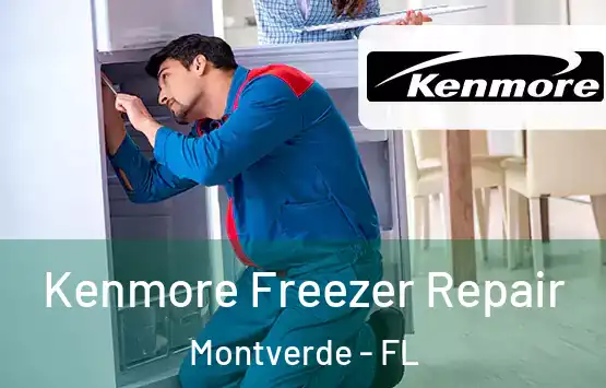  Kenmore Freezer Repair Montverde - FL
