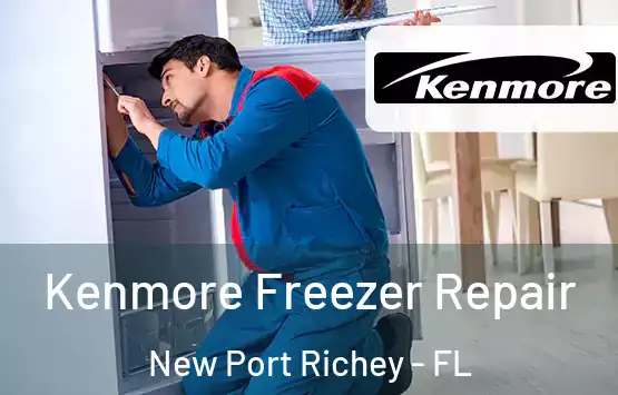  Kenmore Freezer Repair New Port Richey - FL