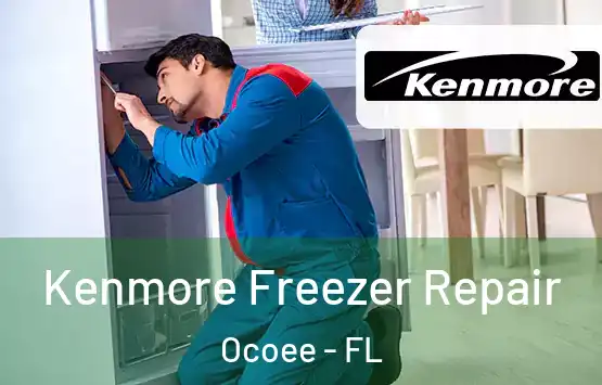  Kenmore Freezer Repair Ocoee - FL