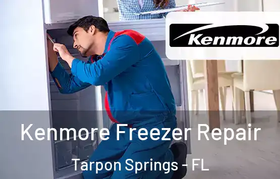  Kenmore Freezer Repair Tarpon Springs - FL
