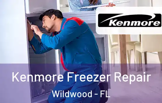  Kenmore Freezer Repair Wildwood - FL