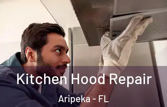  Kitchen Hood Repair Aripeka - FL