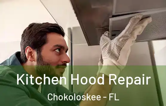  Kitchen Hood Repair Chokoloskee - FL