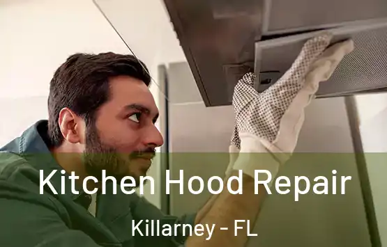  Kitchen Hood Repair Killarney - FL