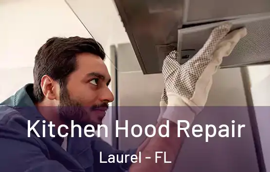  Kitchen Hood Repair Laurel - FL