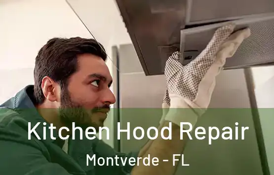  Kitchen Hood Repair Montverde - FL