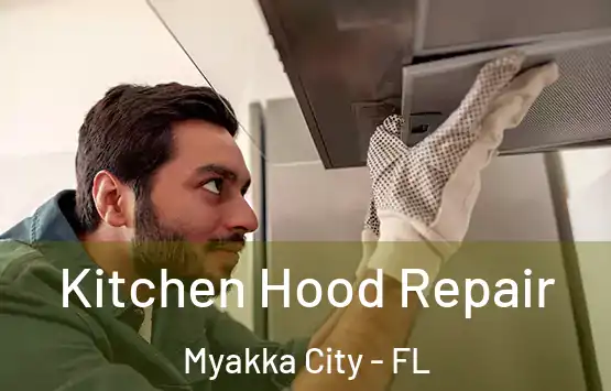  Kitchen Hood Repair Myakka City - FL