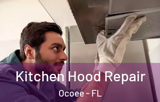  Kitchen Hood Repair Ocoee - FL