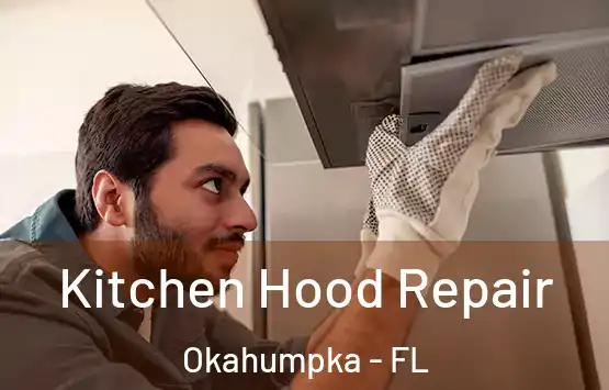  Kitchen Hood Repair Okahumpka - FL