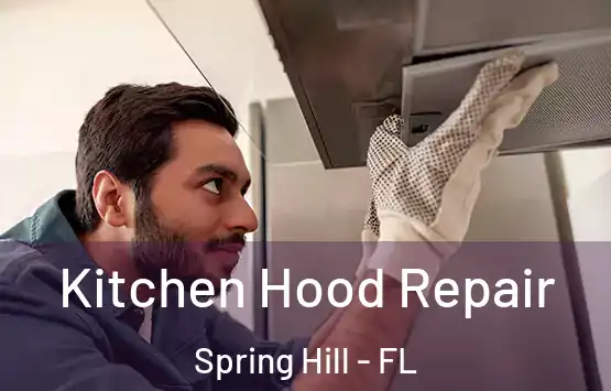  Kitchen Hood Repair Spring Hill - FL
