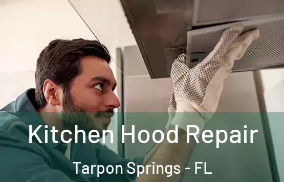  Kitchen Hood Repair Tarpon Springs - FL