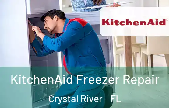  KitchenAid Freezer Repair Crystal River - FL