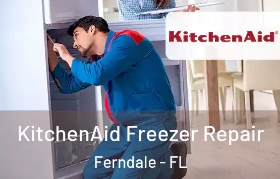  KitchenAid Freezer Repair Ferndale - FL