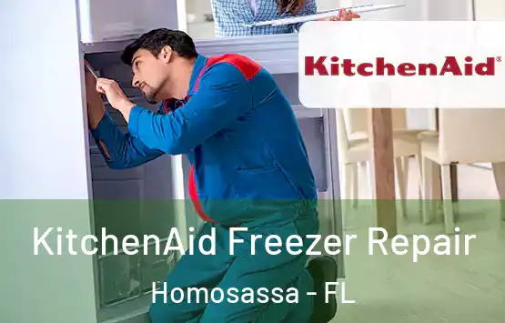  KitchenAid Freezer Repair Homosassa - FL
