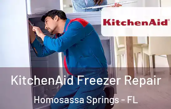  KitchenAid Freezer Repair Homosassa Springs - FL