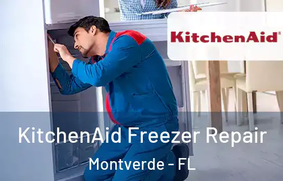  KitchenAid Freezer Repair Montverde - FL