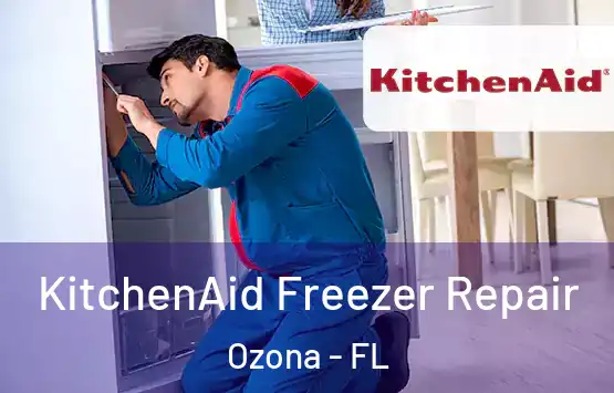  KitchenAid Freezer Repair Ozona - FL