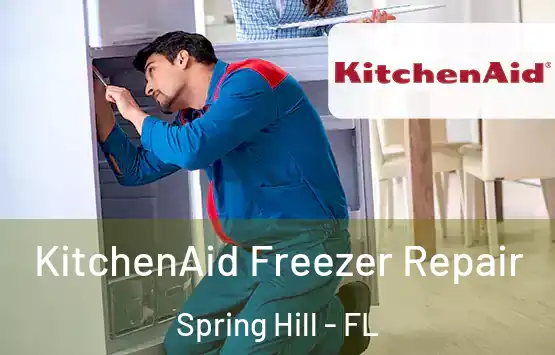  KitchenAid Freezer Repair Spring Hill - FL