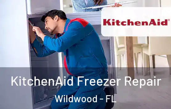  KitchenAid Freezer Repair Wildwood - FL