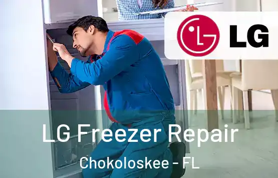  LG Freezer Repair Chokoloskee - FL
