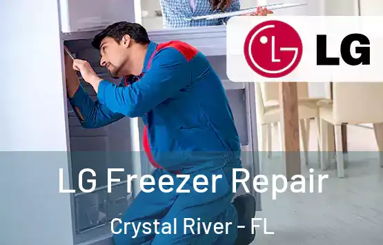  LG Freezer Repair Crystal River - FL