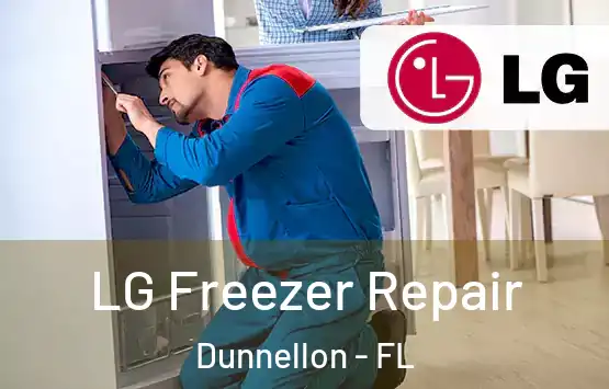  LG Freezer Repair Dunnellon - FL