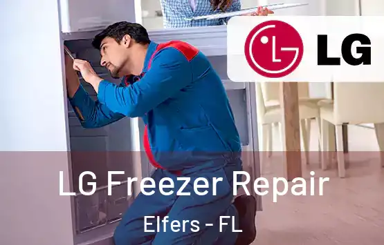  LG Freezer Repair Elfers - FL