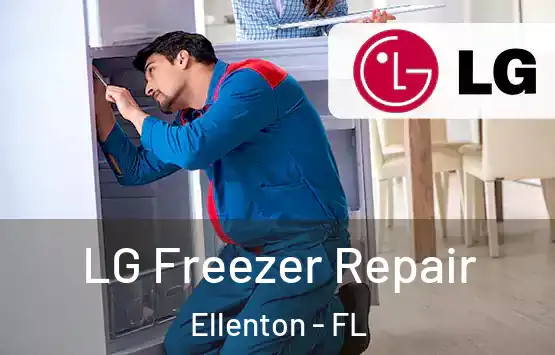  LG Freezer Repair Ellenton - FL
