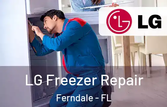  LG Freezer Repair Ferndale - FL