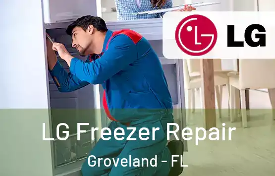  LG Freezer Repair Groveland - FL