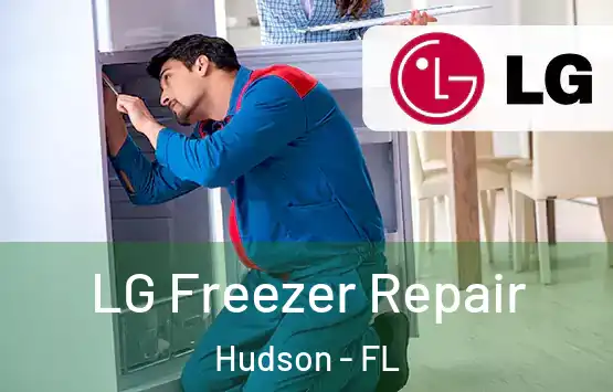  LG Freezer Repair Hudson - FL