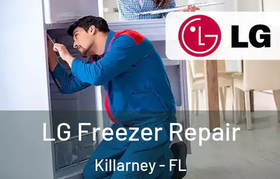  LG Freezer Repair Killarney - FL