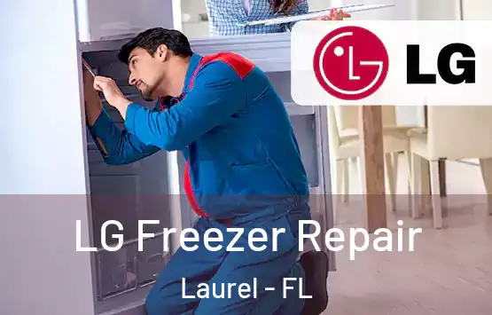  LG Freezer Repair Laurel - FL