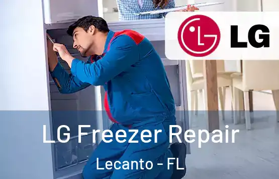  LG Freezer Repair Lecanto - FL