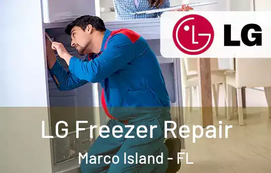 LG Freezer Repair Marco Island - FL