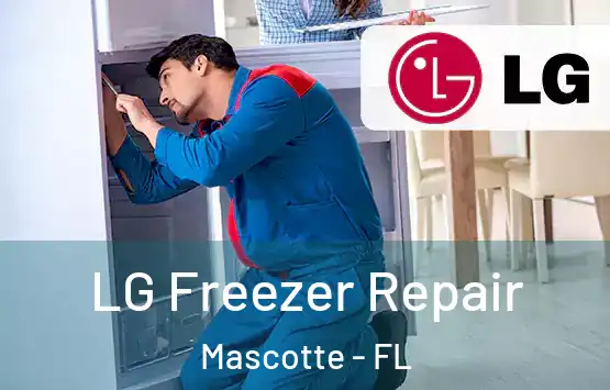  LG Freezer Repair Mascotte - FL