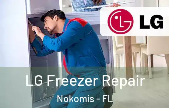  LG Freezer Repair Nokomis - FL