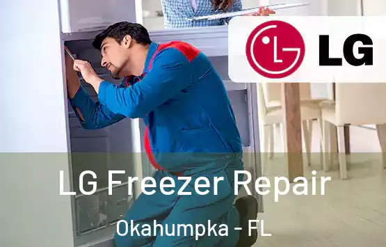  LG Freezer Repair Okahumpka - FL