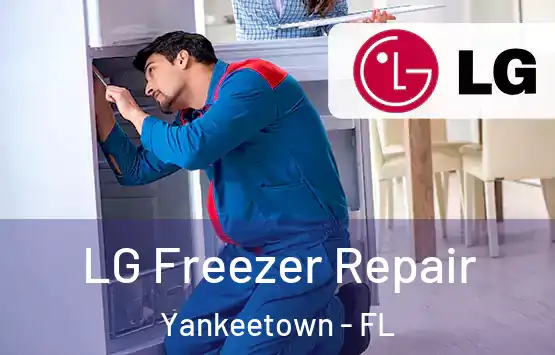  LG Freezer Repair Yankeetown - FL
