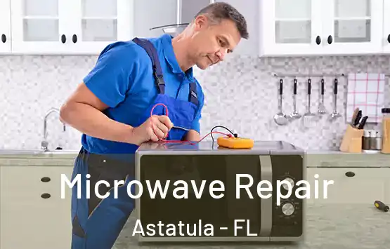  Microwave Repair Astatula - FL