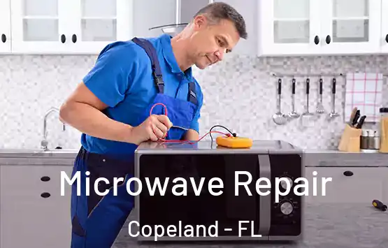 Microwave Repair Copeland - FL