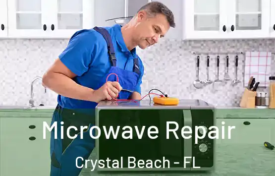  Microwave Repair Crystal Beach - FL