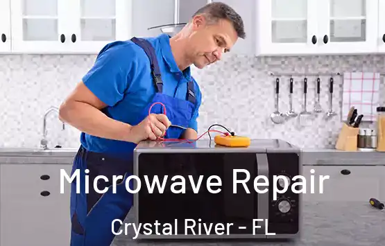  Microwave Repair Crystal River - FL