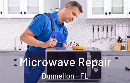  Microwave Repair Dunnellon - FL