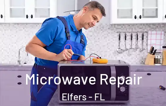  Microwave Repair Elfers - FL