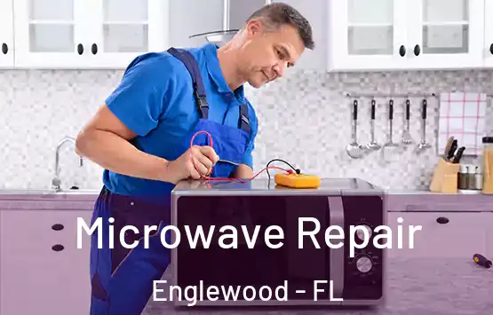  Microwave Repair Englewood - FL