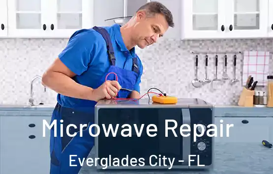  Microwave Repair Everglades City - FL